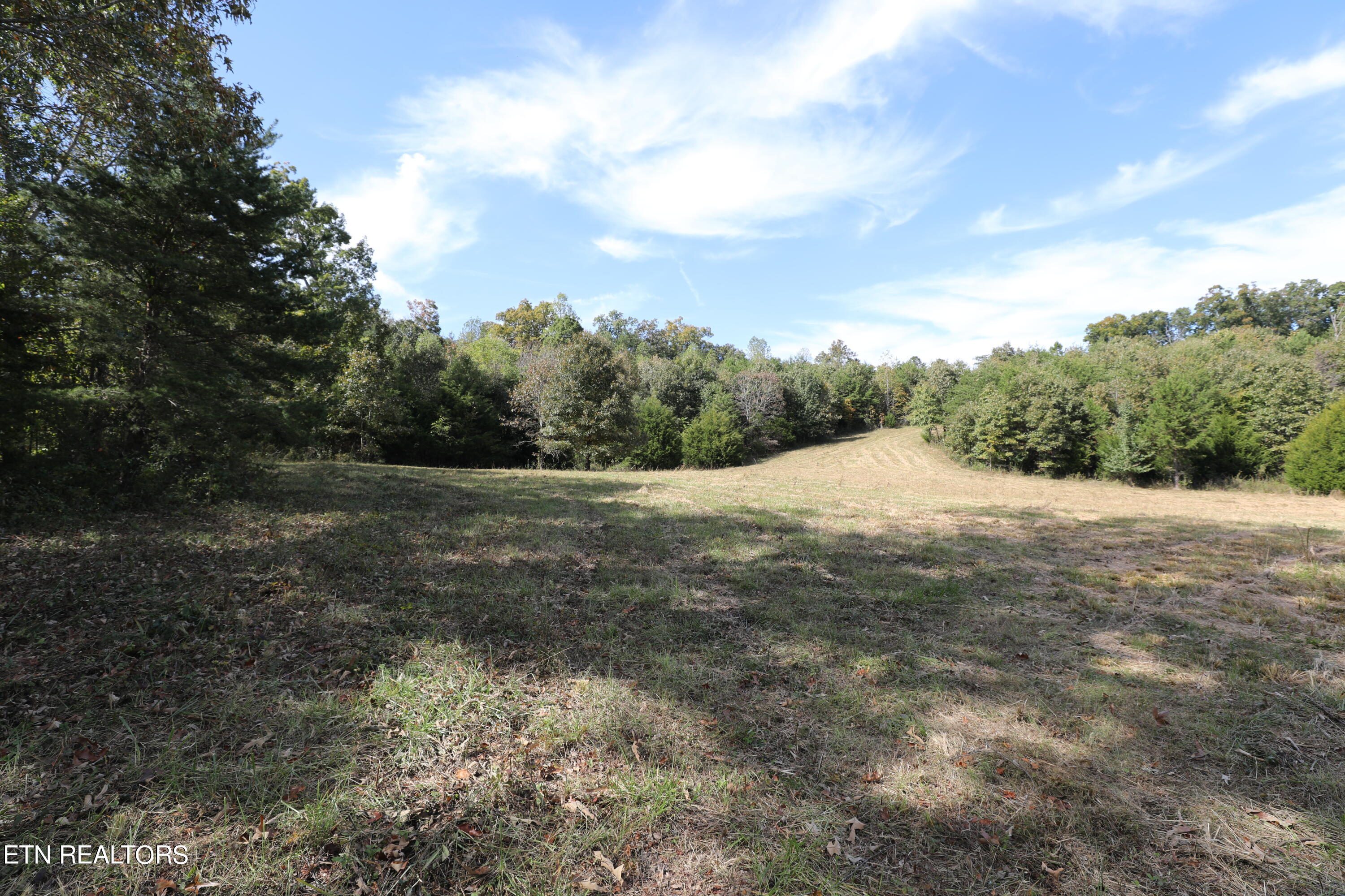 Stinnett Road Madisonville, TN 37354 - Photo 6 of 15 144A4372