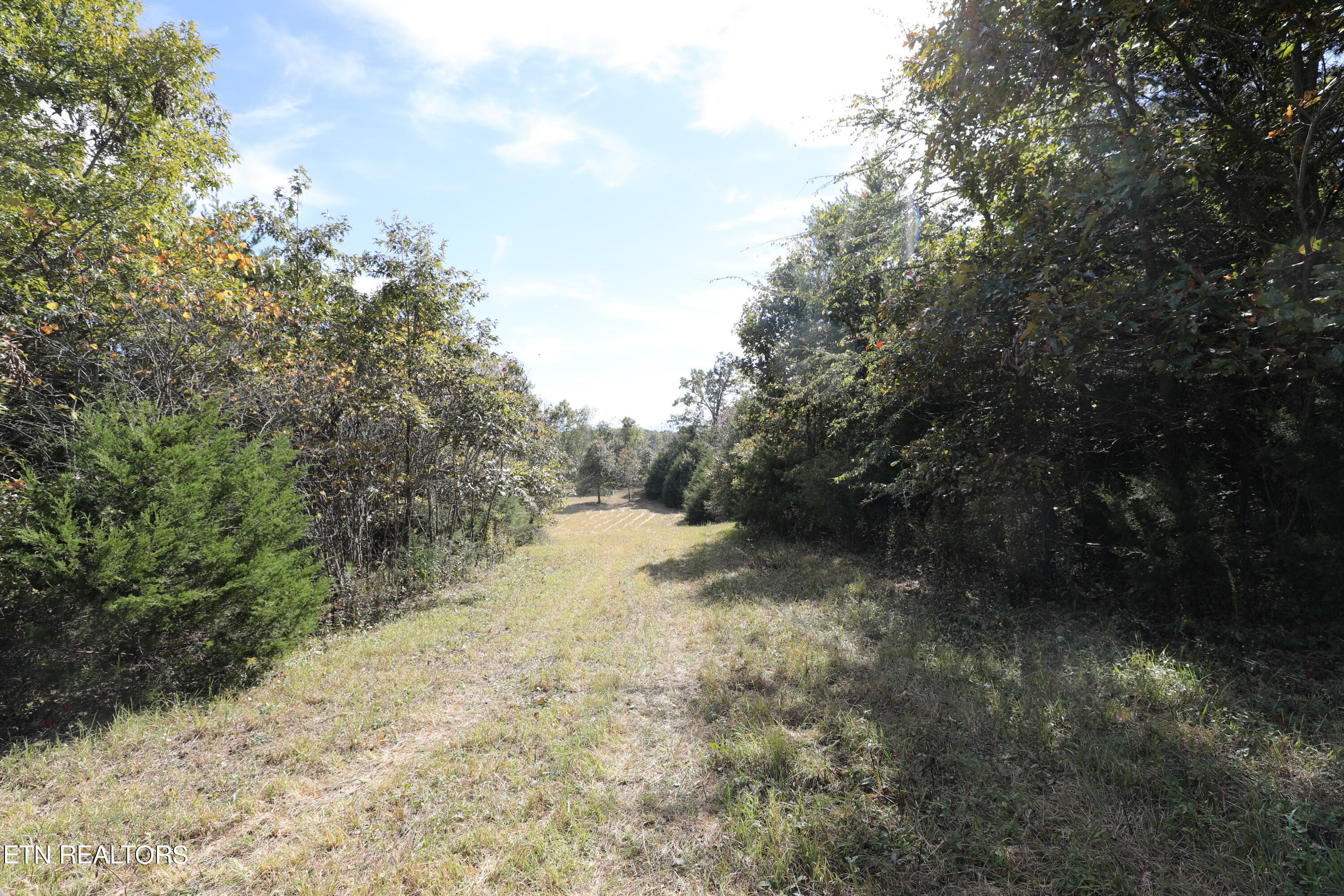 Stinnett Road Madisonville, TN 37354 - Photo 7 of 15 144A4373