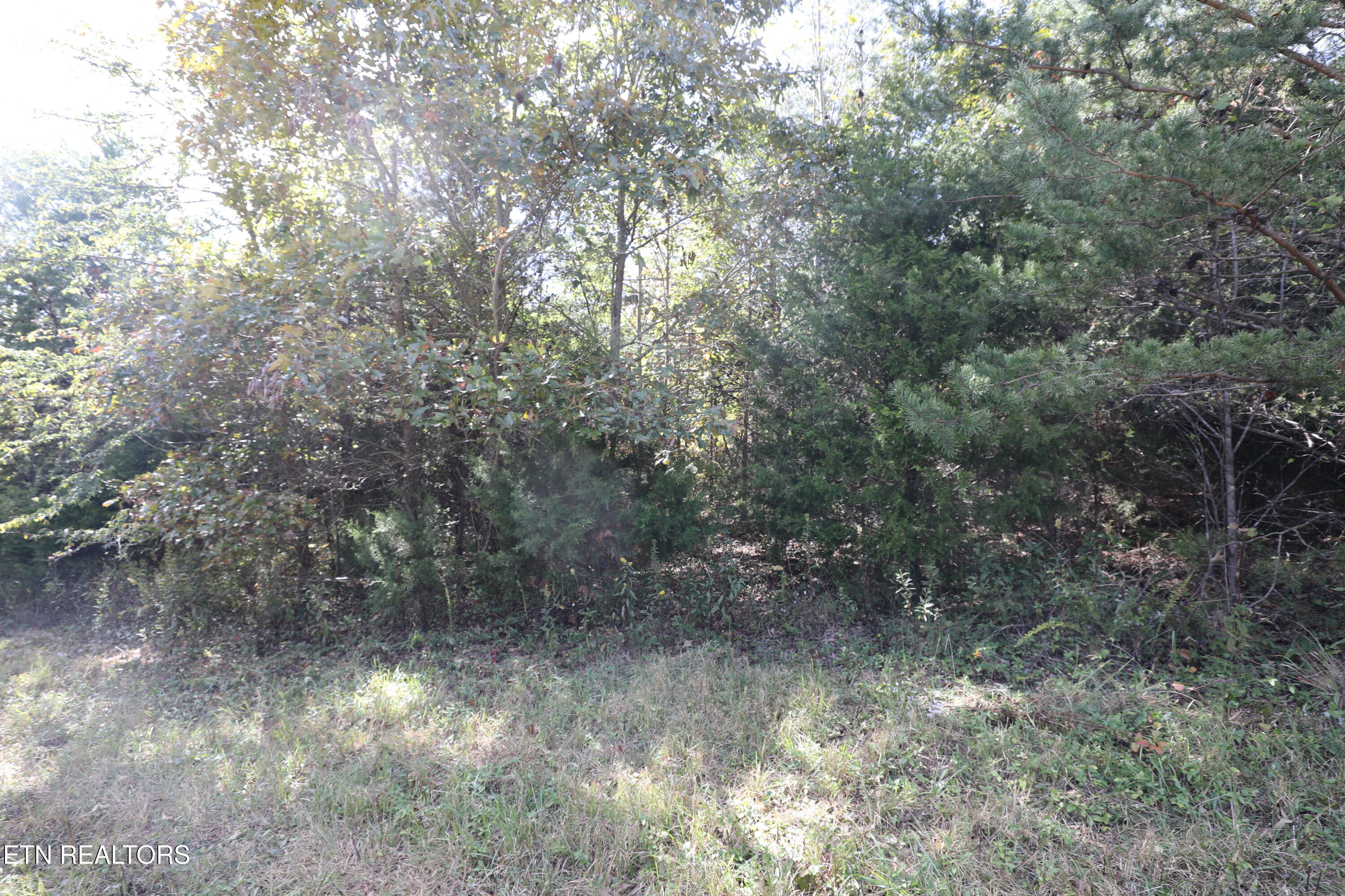 Stinnett Road Madisonville, TN 37354 - Photo 8 of 15 144A4374
