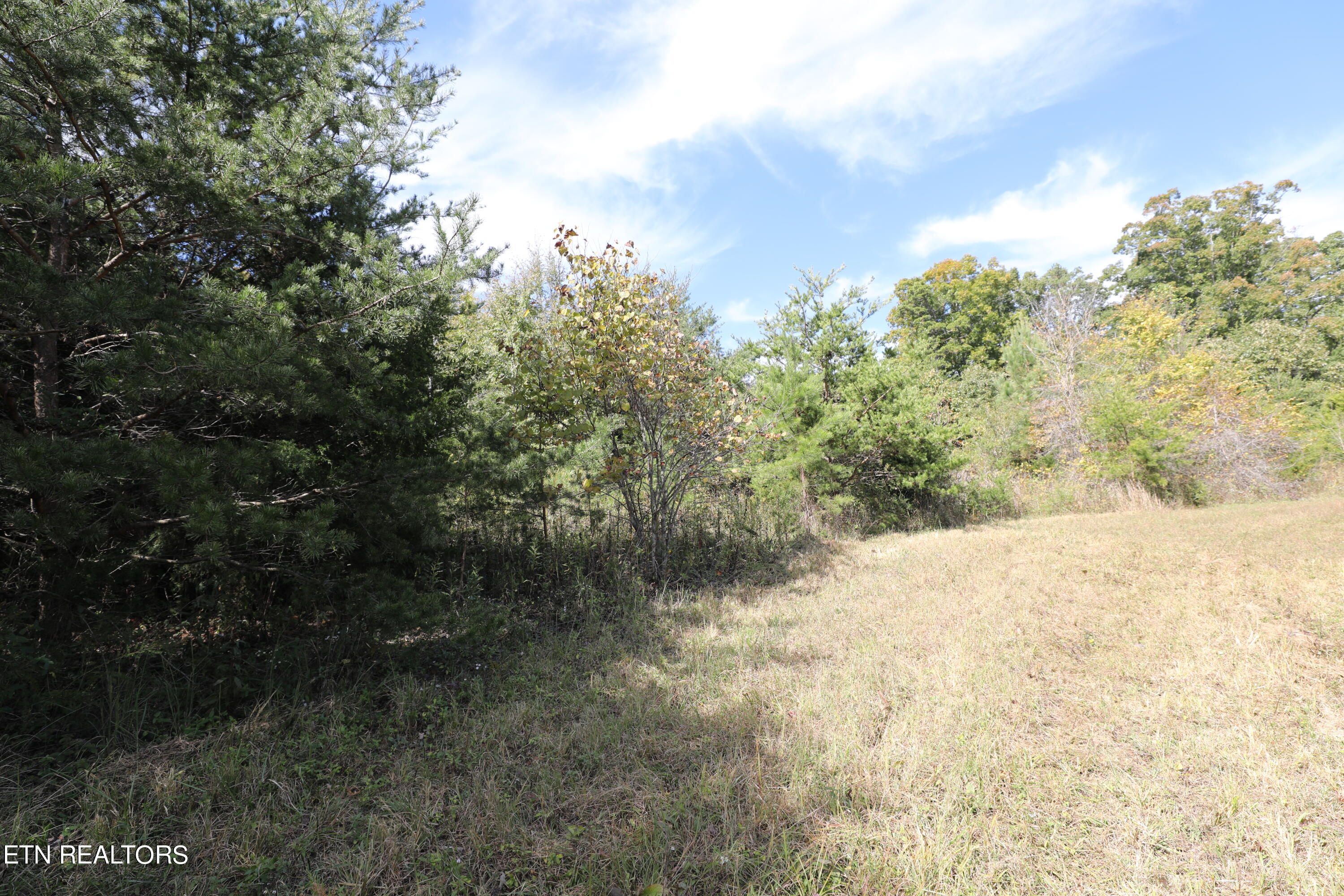 Stinnett Road Madisonville, TN 37354 - Photo 9 of 15 144A4375
