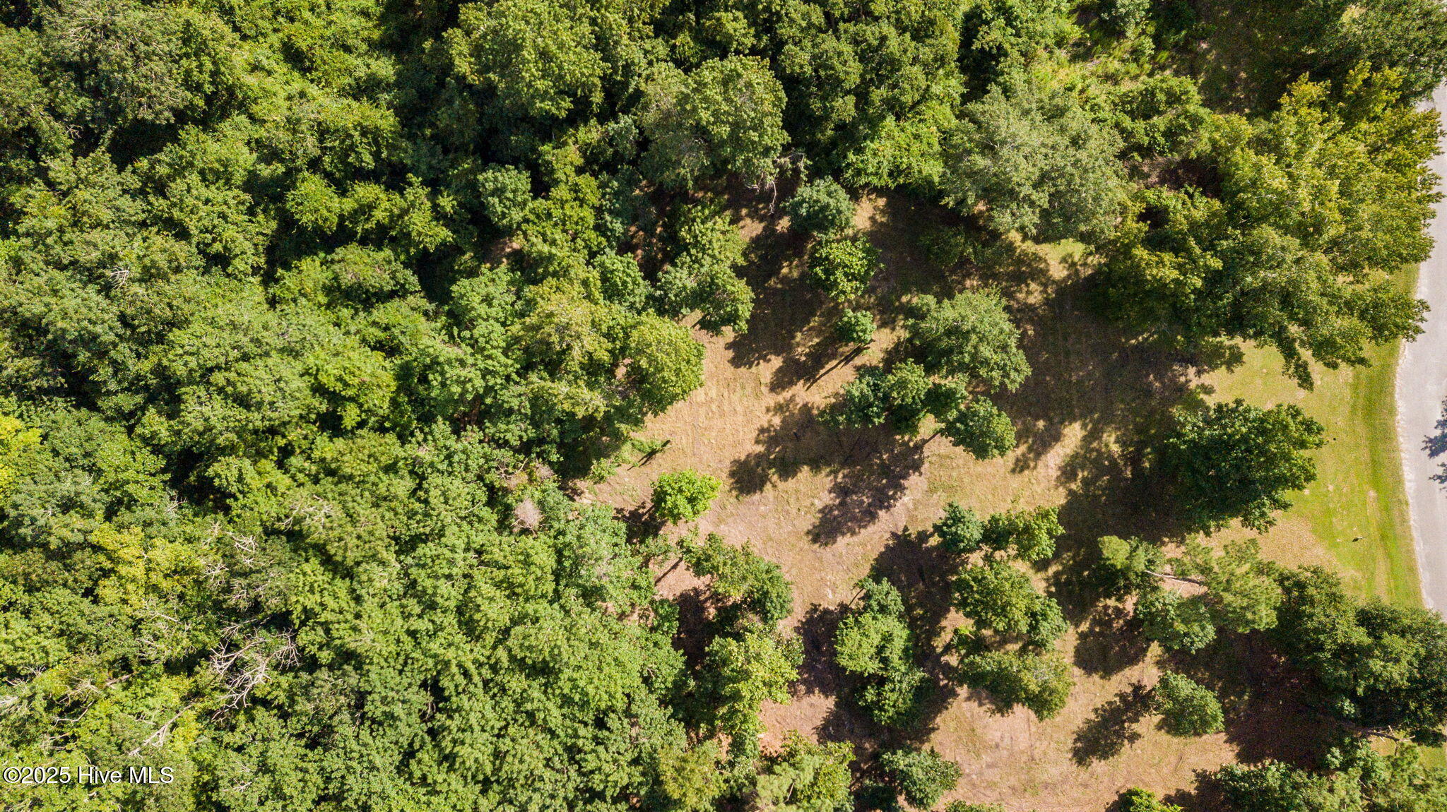 133 Hwy Rocky Point Rocky Point, NC 28457 - Photo 19 of 38 18-web-or-mls-Winding Creek Rd Lots 1 &