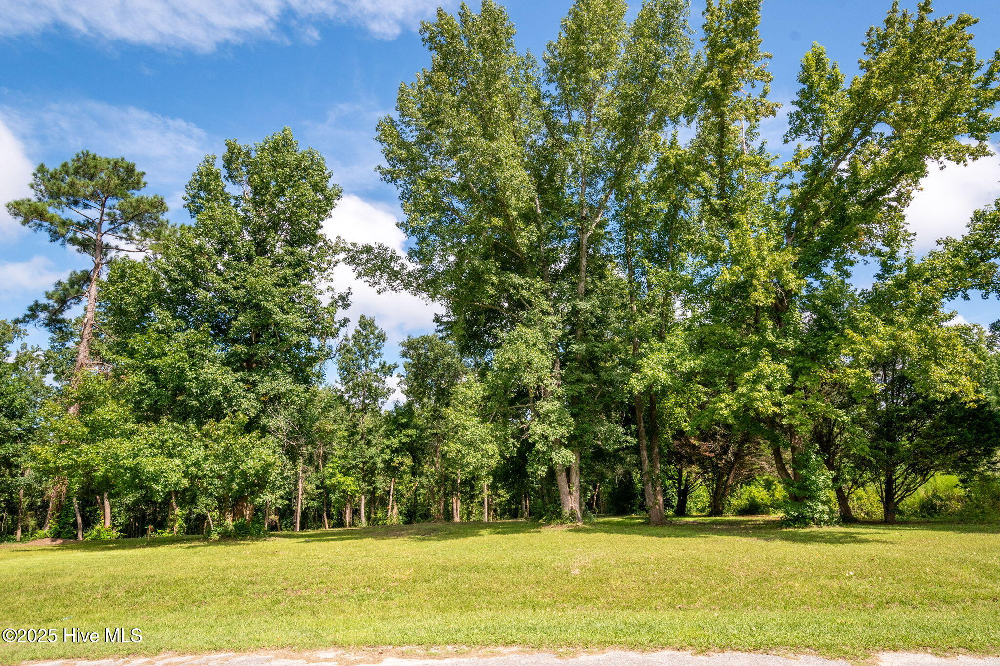 133 Hwy Rocky Point Rocky Point, NC 28457 - Photo 2 of 38 3-web-or-mls-Winding Creek Rd Lots 1 & 2