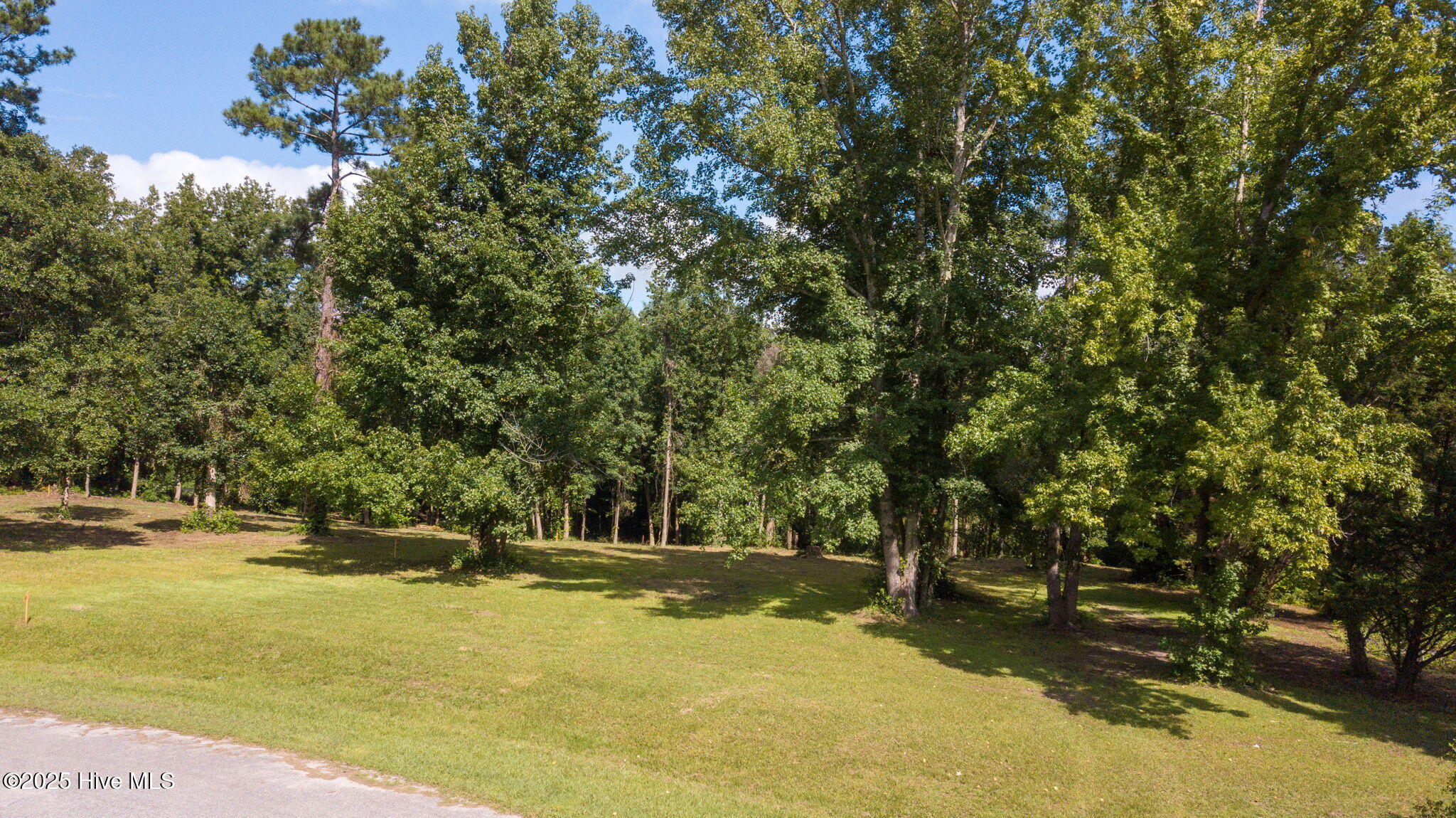 133 Hwy Rocky Point Rocky Point, NC 28457 - Photo 22 of 38 21-web-or-mls-Winding Creek Rd Lots 1 &
