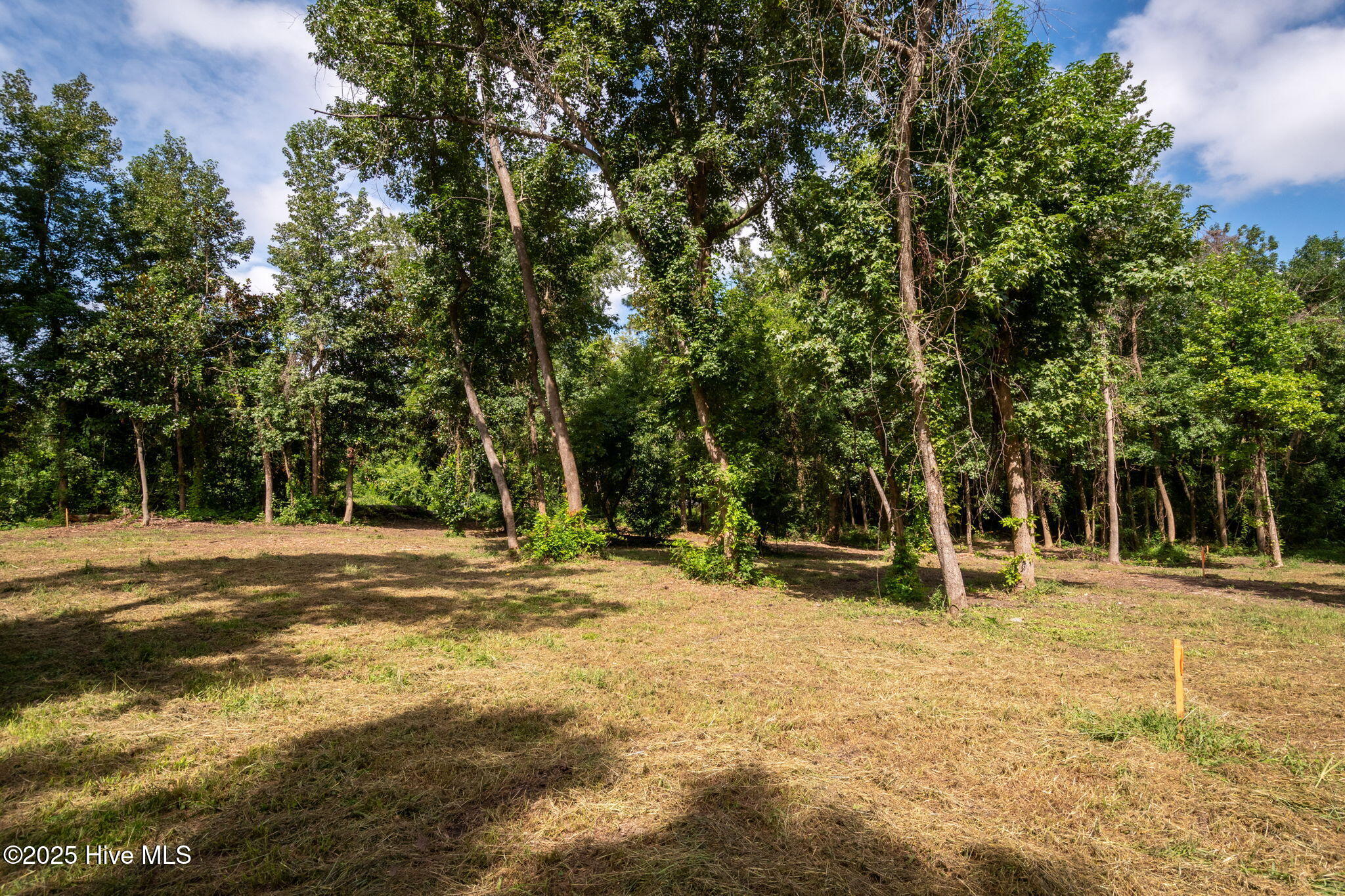 133 Hwy Rocky Point Rocky Point, NC 28457 - Photo 25 of 38 24-web-or-mls-Winding Creek Rd Lots 1 &