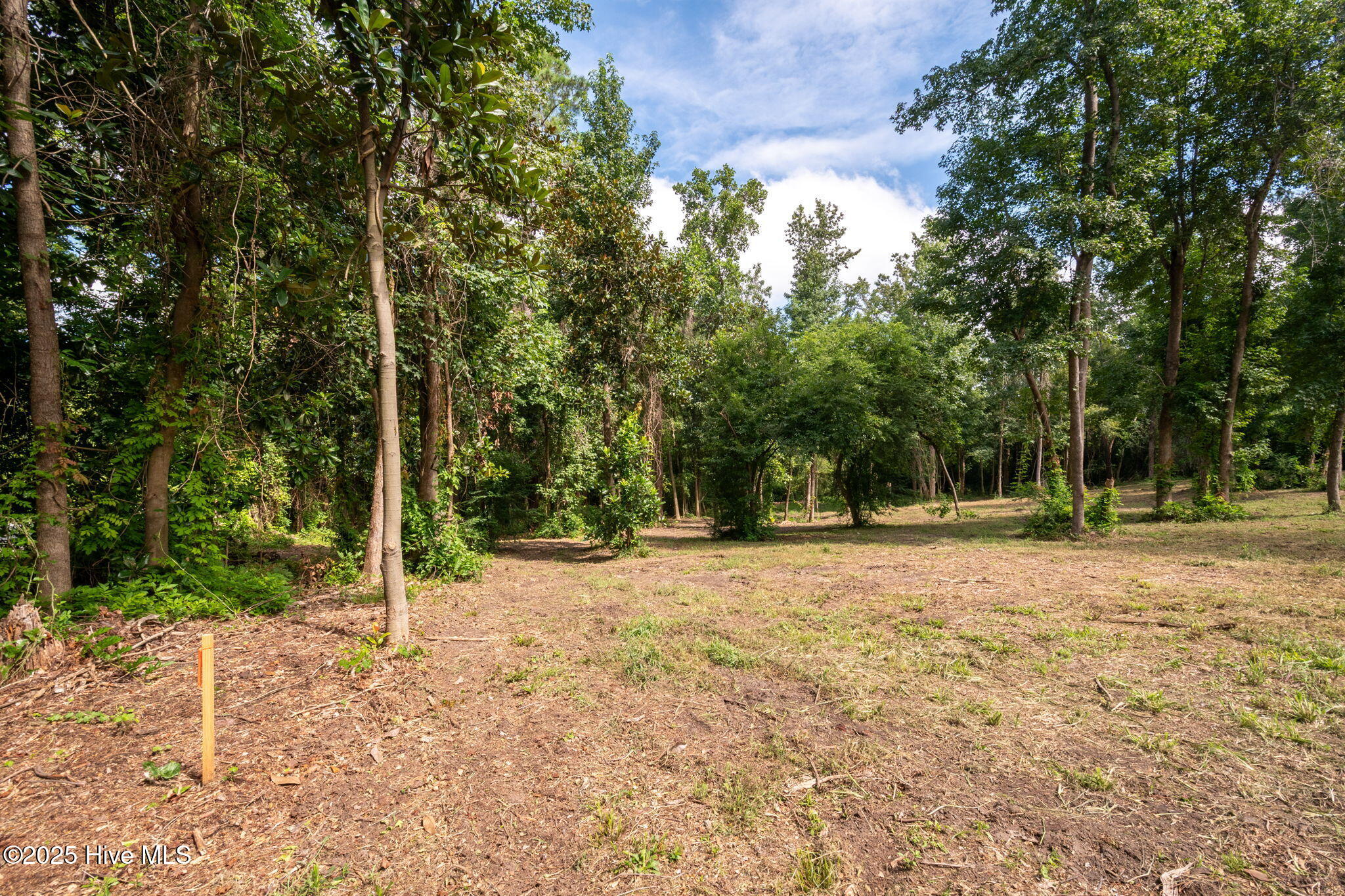 133 Hwy Rocky Point Rocky Point, NC 28457 - Photo 26 of 38 25-web-or-mls-Winding Creek Rd Lots 1 &