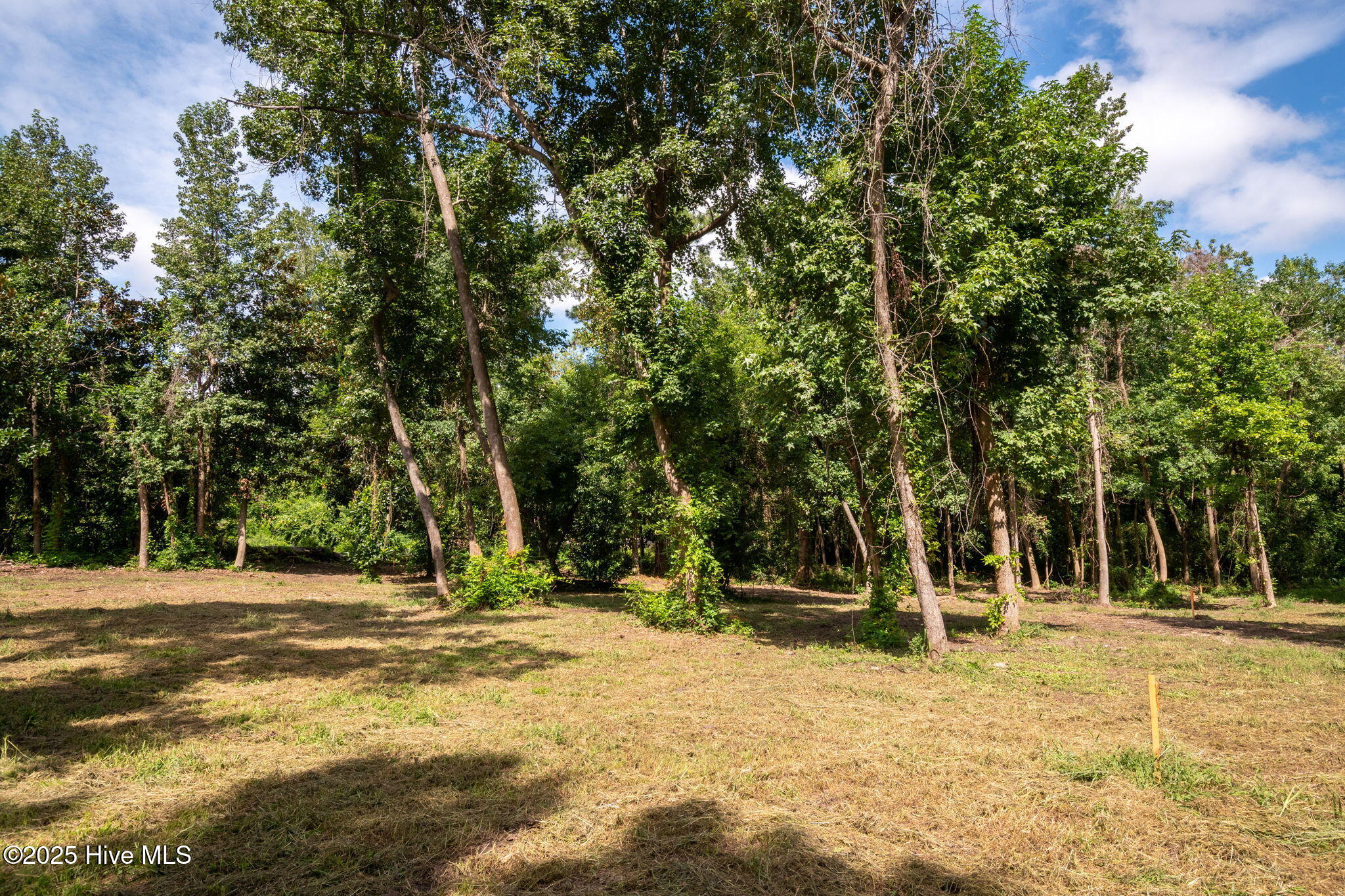 133 Hwy Rocky Point Rocky Point, NC 28457 - Photo 29 of 38 28-web-or-mls-Winding Creek Rd Lots 1 &