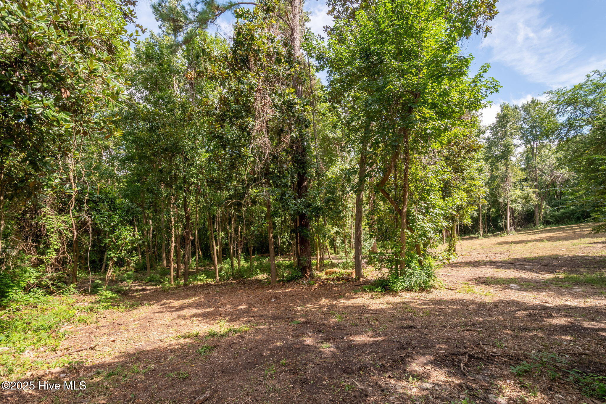 133 Hwy Rocky Point Rocky Point, NC 28457 - Photo 30 of 38 29-web-or-mls-Winding Creek Rd Lots 1 &