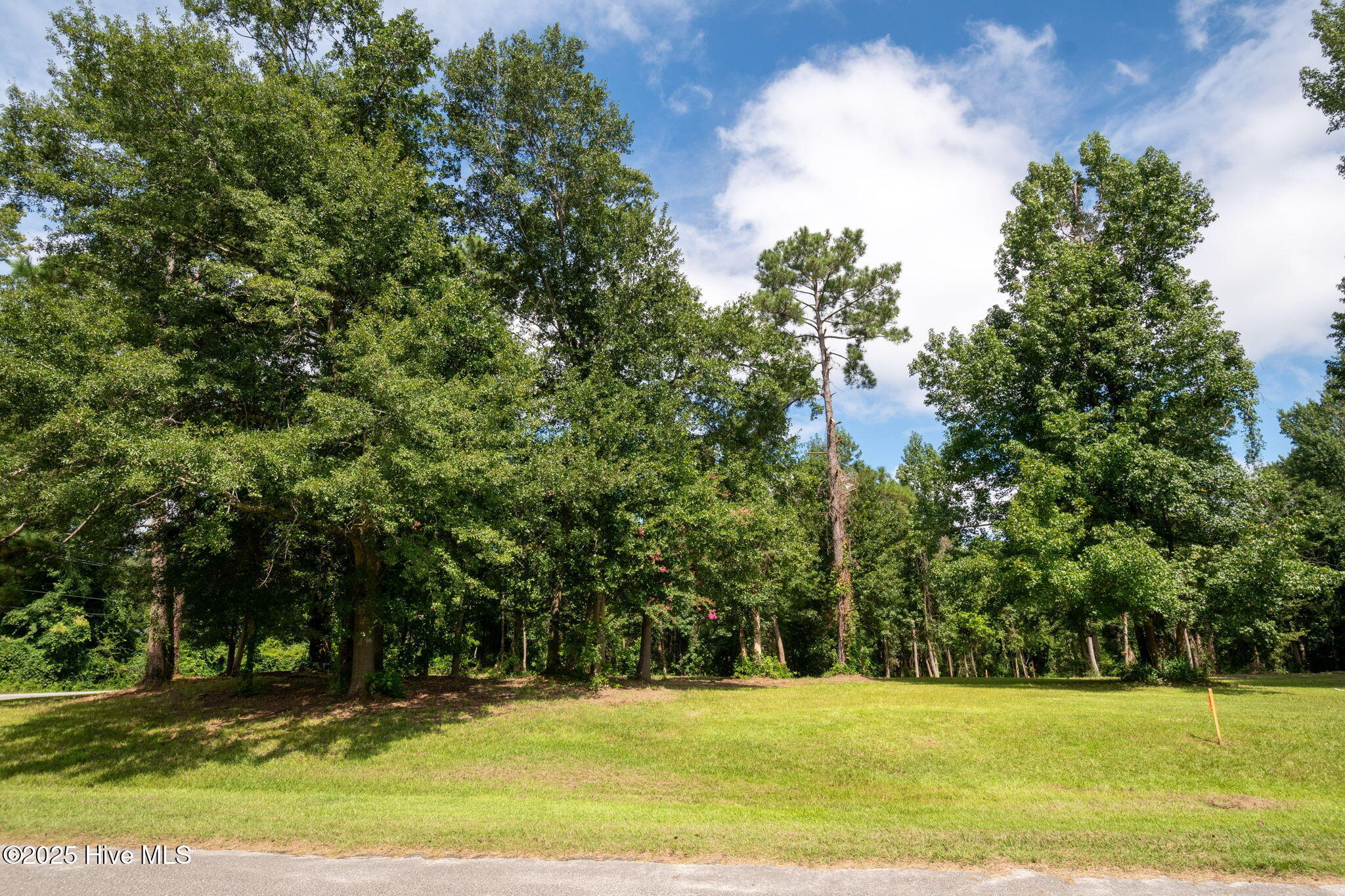 133 Hwy Rocky Point Rocky Point, NC 28457 - Photo 31 of 38 30-web-or-mls-Winding Creek Rd Lots 1 &