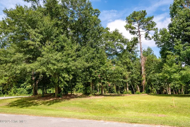 $91,900 | 133 Hwy Rocky Point, Rocky Point, NC 28457