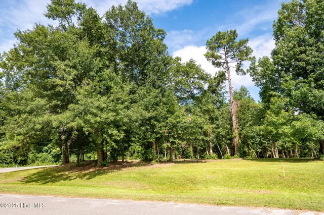 $91,900 | 133 Hwy Rocky Point, Rocky Point, NC 28457