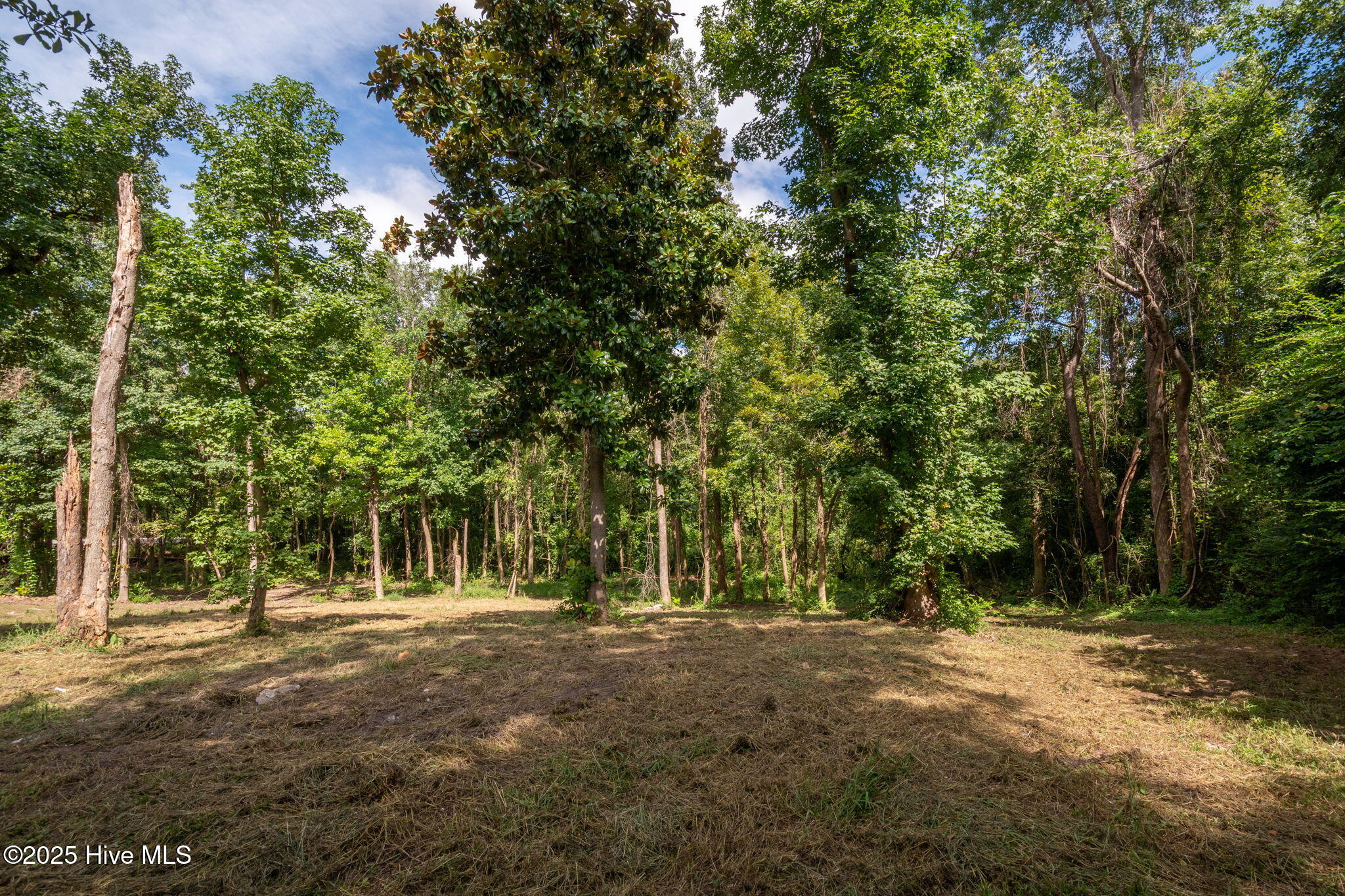 133 Hwy Rocky Point Rocky Point, NC 28457 - Photo 7 of 38 6-web-or-mls-Winding Creek Rd Lots 1 & 2