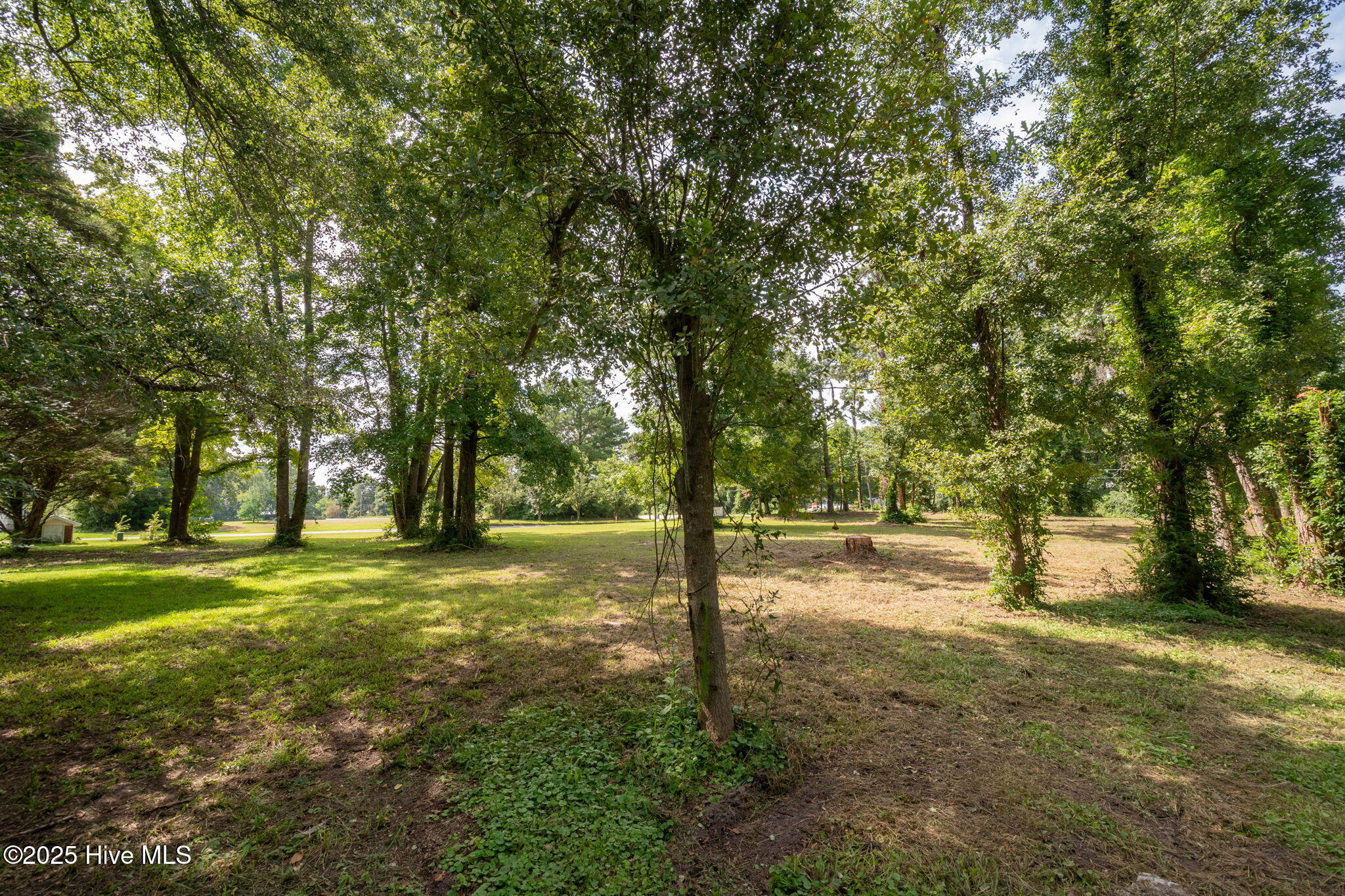 133 Hwy Rocky Point Rocky Point, NC 28457 - Photo 8 of 38 7-web-or-mls-Winding Creek Rd Lots 1 & 2