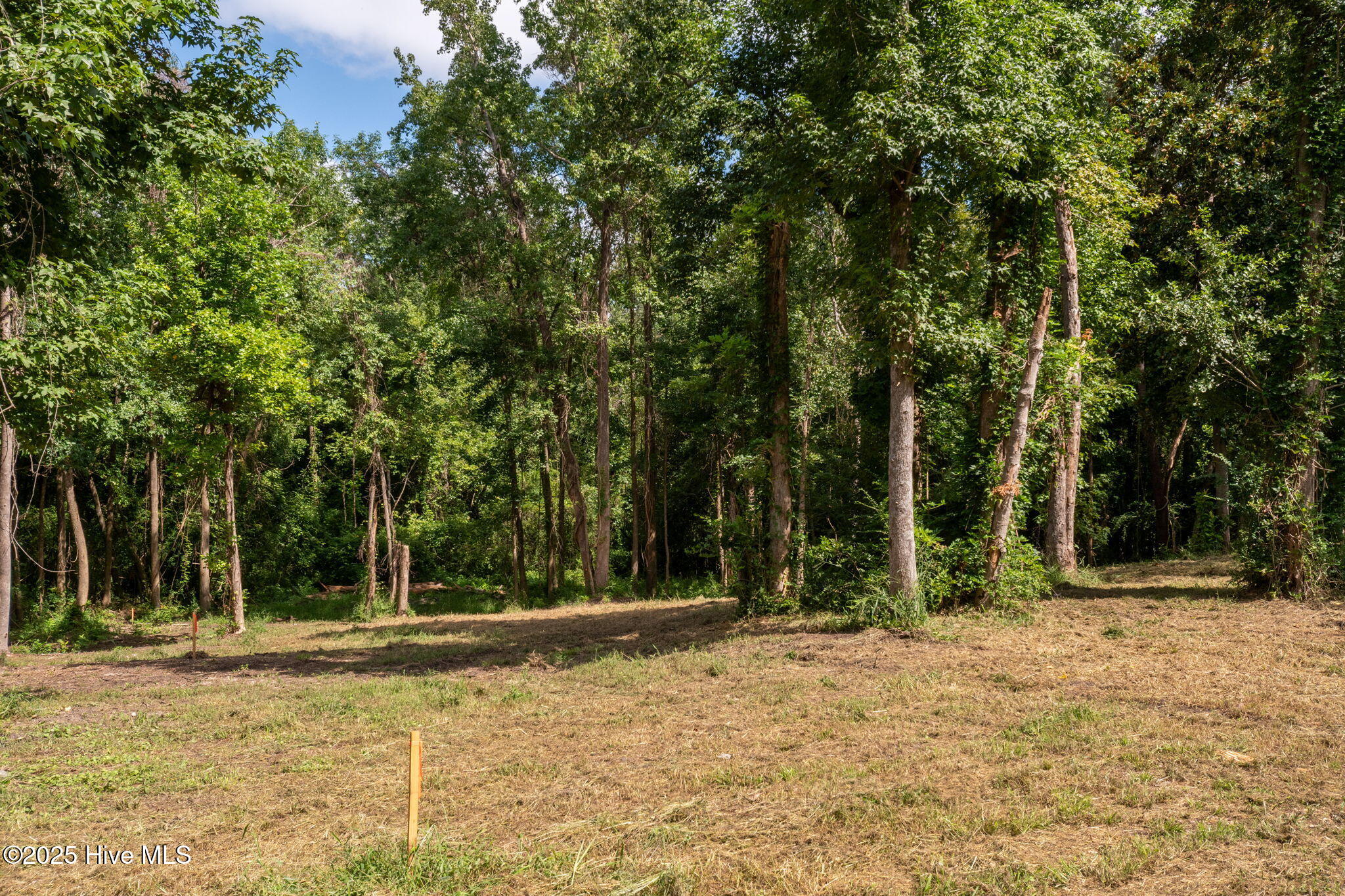 133 Hwy Rocky Point Rocky Point, NC 28457 - Photo 10 of 38 10-web-or-mls-Winding Creek Rd Lots 1 &