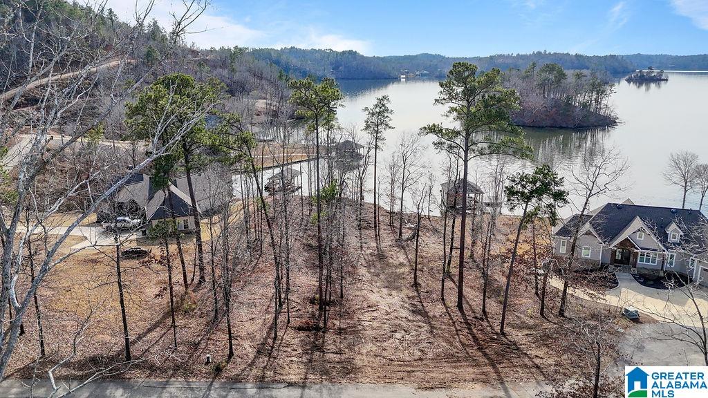 2147 Eagle Mountain Road, Unit 12 Rockford, AL 35136 - Photo 6 of 22