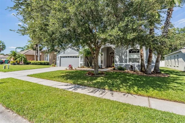 a living room with furniture a window and a potted plant
