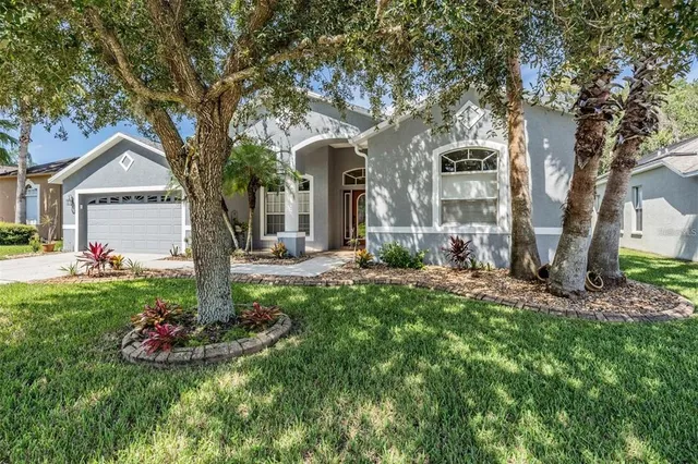 a view of a yard with large trees and fence