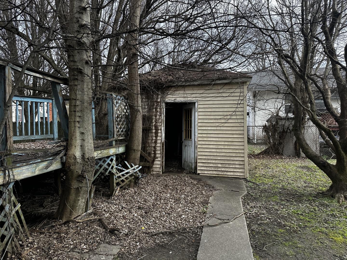 617 27th Street Cairo, IL 62914 - Photo 5 of 7