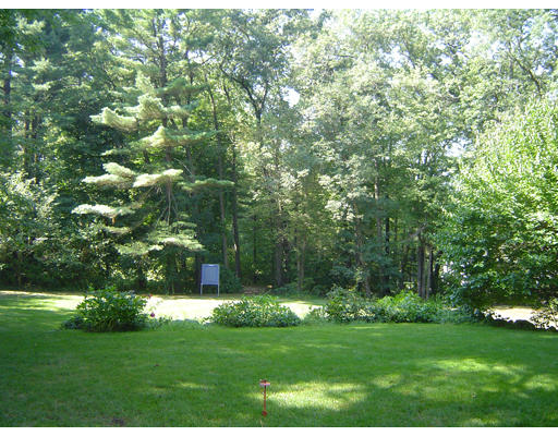 127 Dover Road Wellesley, MA 02482 - Photo 7 of 8