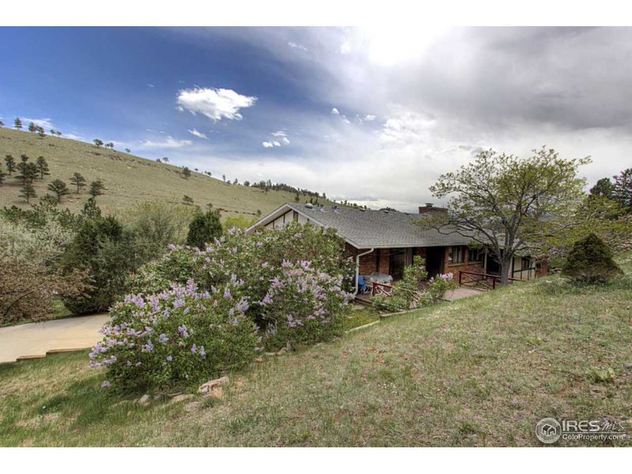 5725 Olde Stage Road Boulder, CO 80302 - Photo 23 of 25 a view of a house with a big yard and large tree