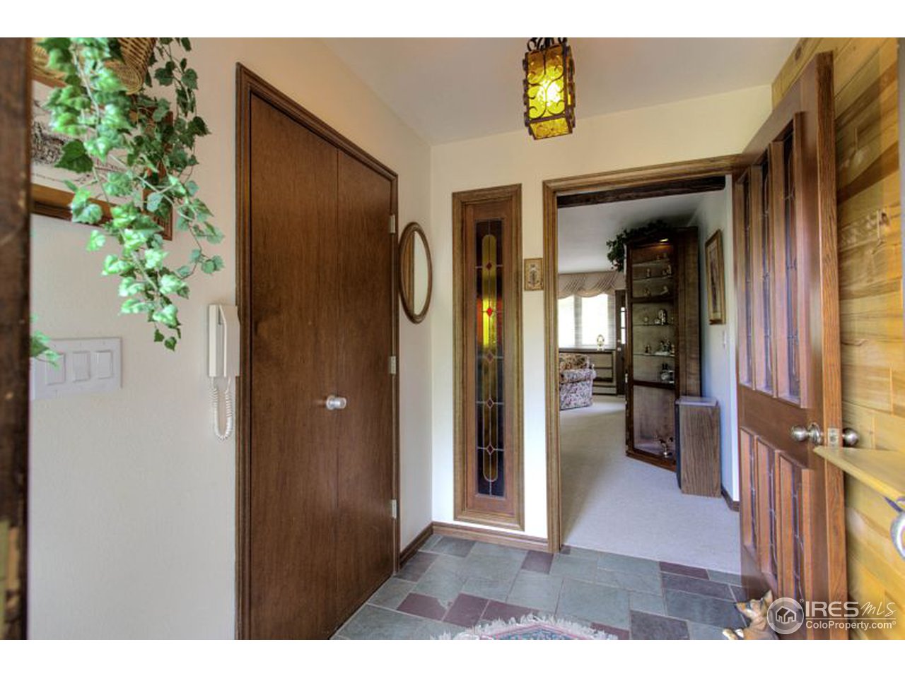 5725 Olde Stage Road Boulder, CO 80302 - Photo 3 of 25 a view of a hallway with wooden floor and a potted plant