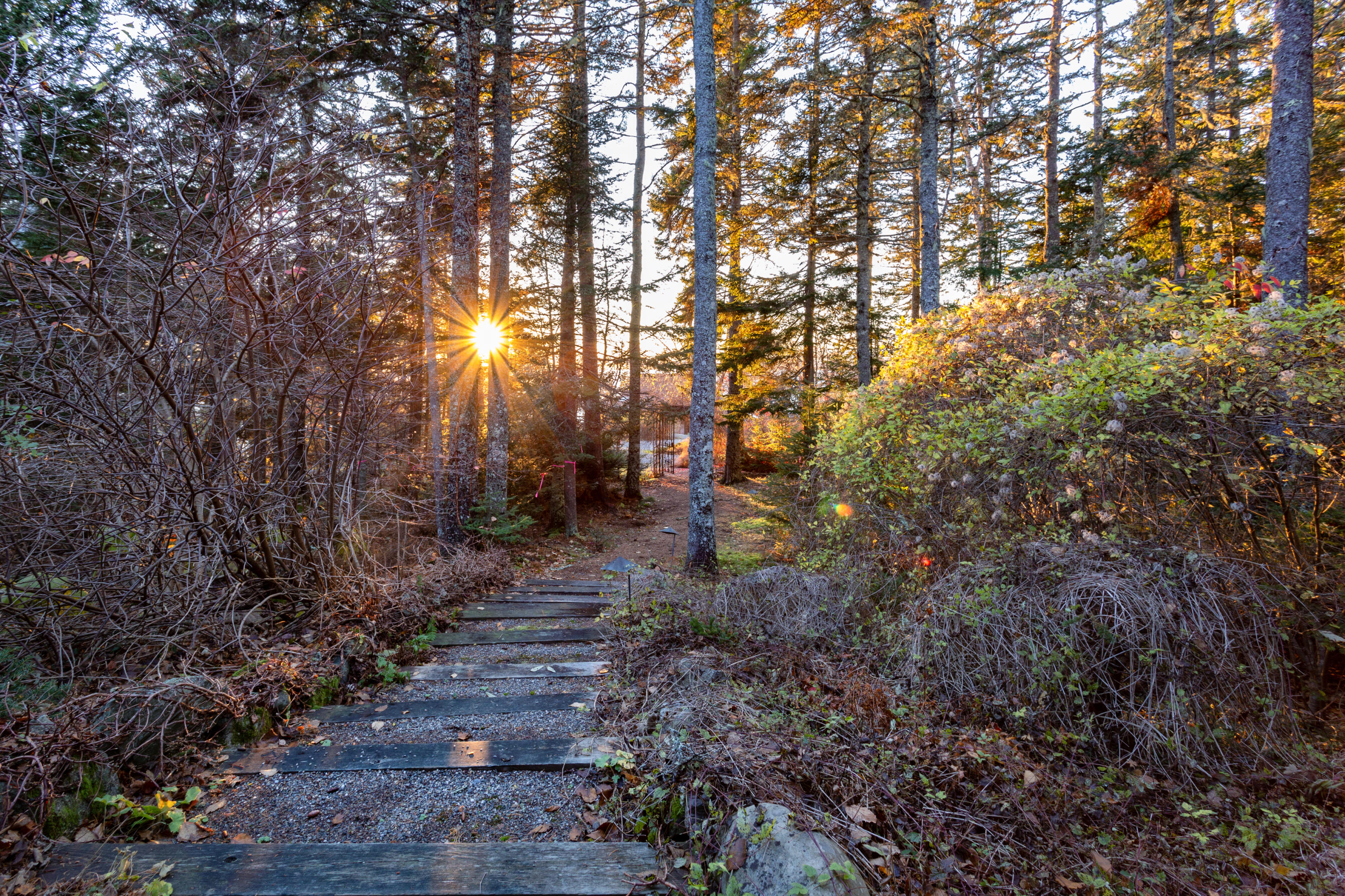 252 Ames Cove Road Harborside, ME 04642 - Photo 23 of 39 20181106-IMG_9207-Edit