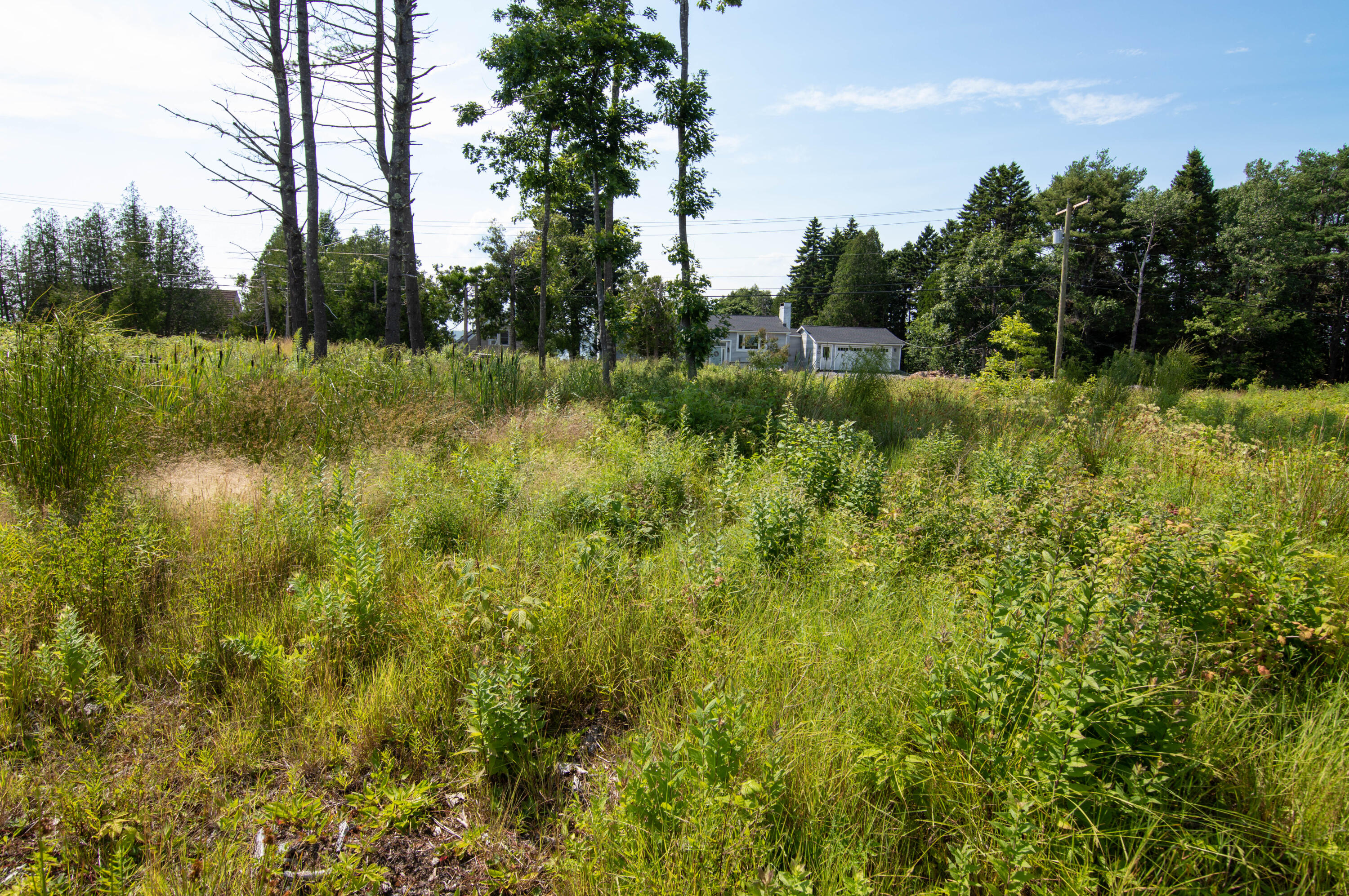 Lot #1 Bayview Road Orrs Island, ME 04066 - Photo 44 of 46 9