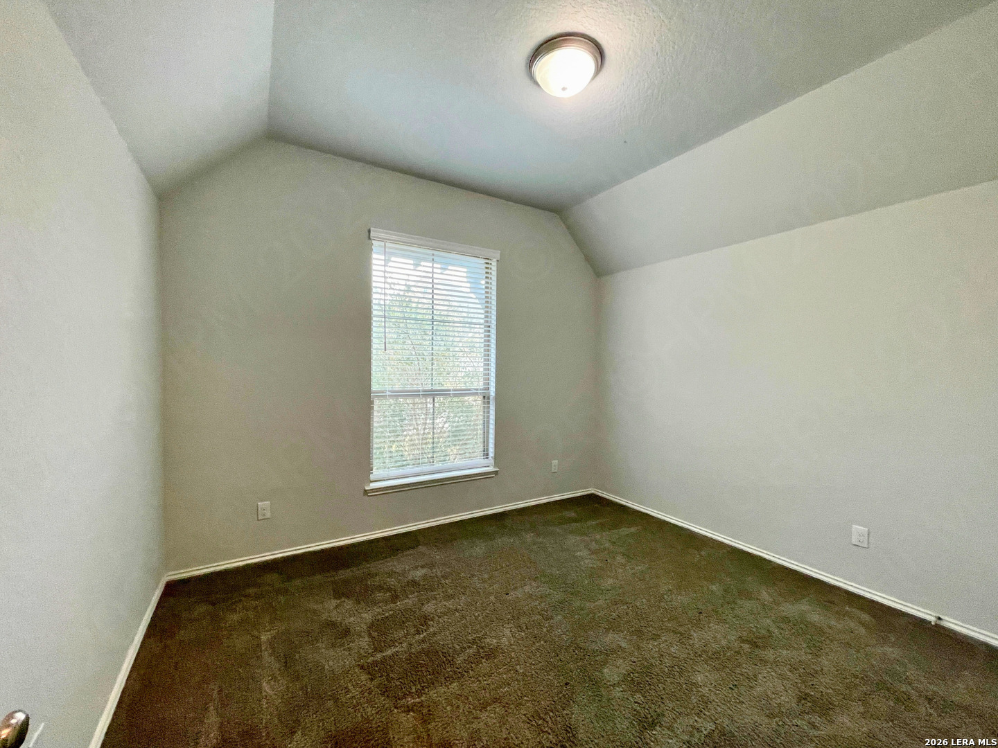 2984 Creek Ridge Street Seguin, TX 78155 - Photo 21 of 24