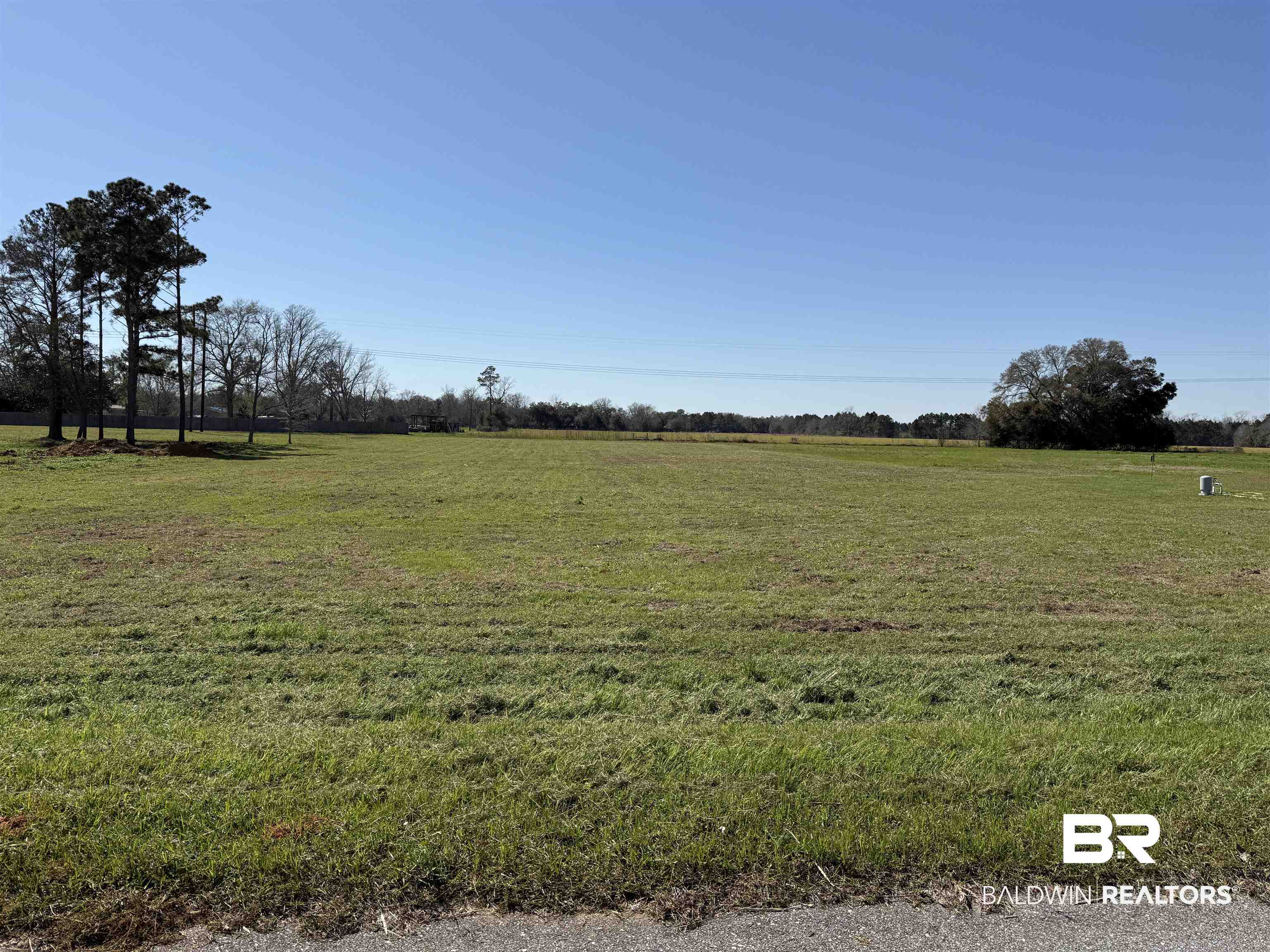 0 Gopher Court Elberta, AL 36530 - Photo 1 of 4 center of lot