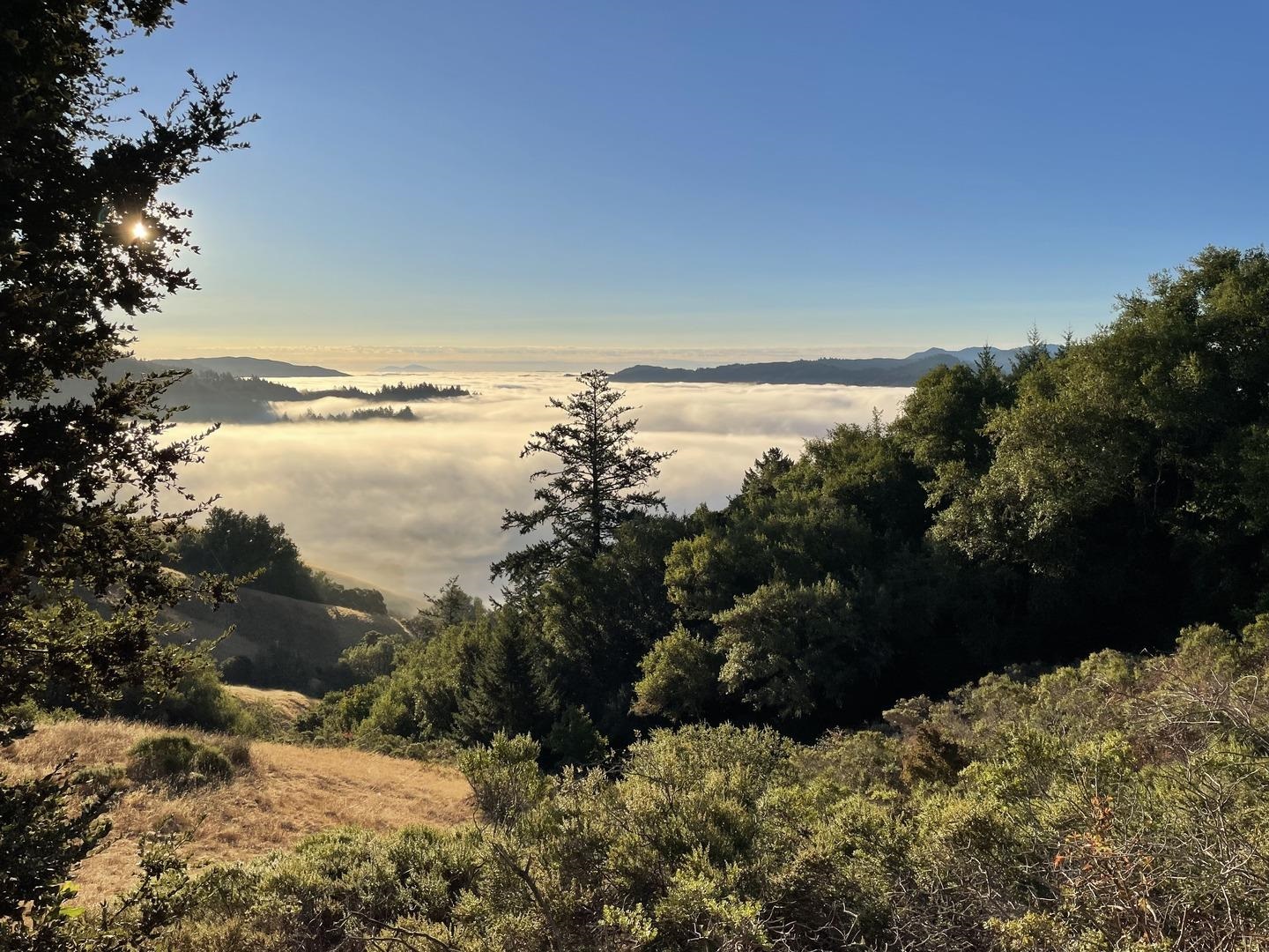 0 Mountain King Road Lagunitas, CA 94938 - Photo 2 of 7 a view of lake with a yard