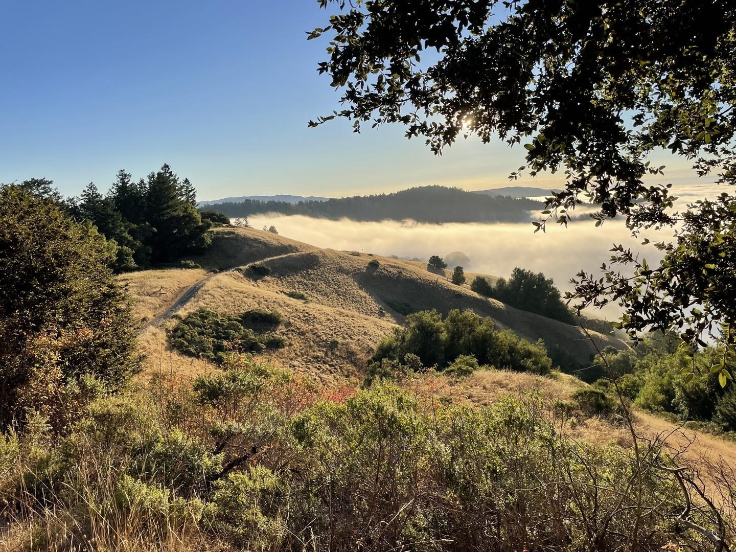0 Mountain King Road Lagunitas, CA 94938 - Photo 4 of 7 a view of lake with mountain