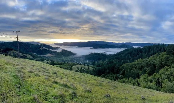 a view of a lush green mountain