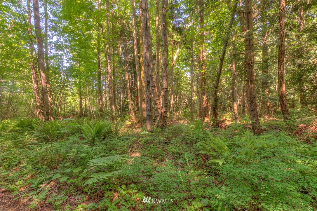 12003 County Road Waldron, WA 98297 - Photo 14 of 18 Gallery Image 14