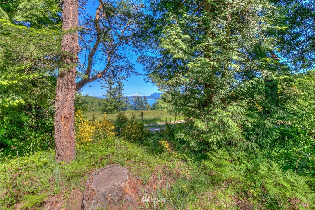 12003 County Road Waldron, WA 98297 - Photo 5 of 18 Gallery Image 5