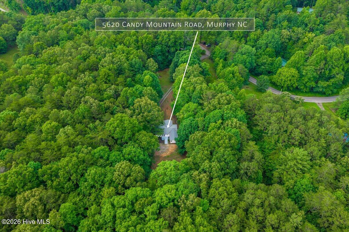 5620 Candy Mountain Road Murphy, NC 28906 - Photo 3 of 42