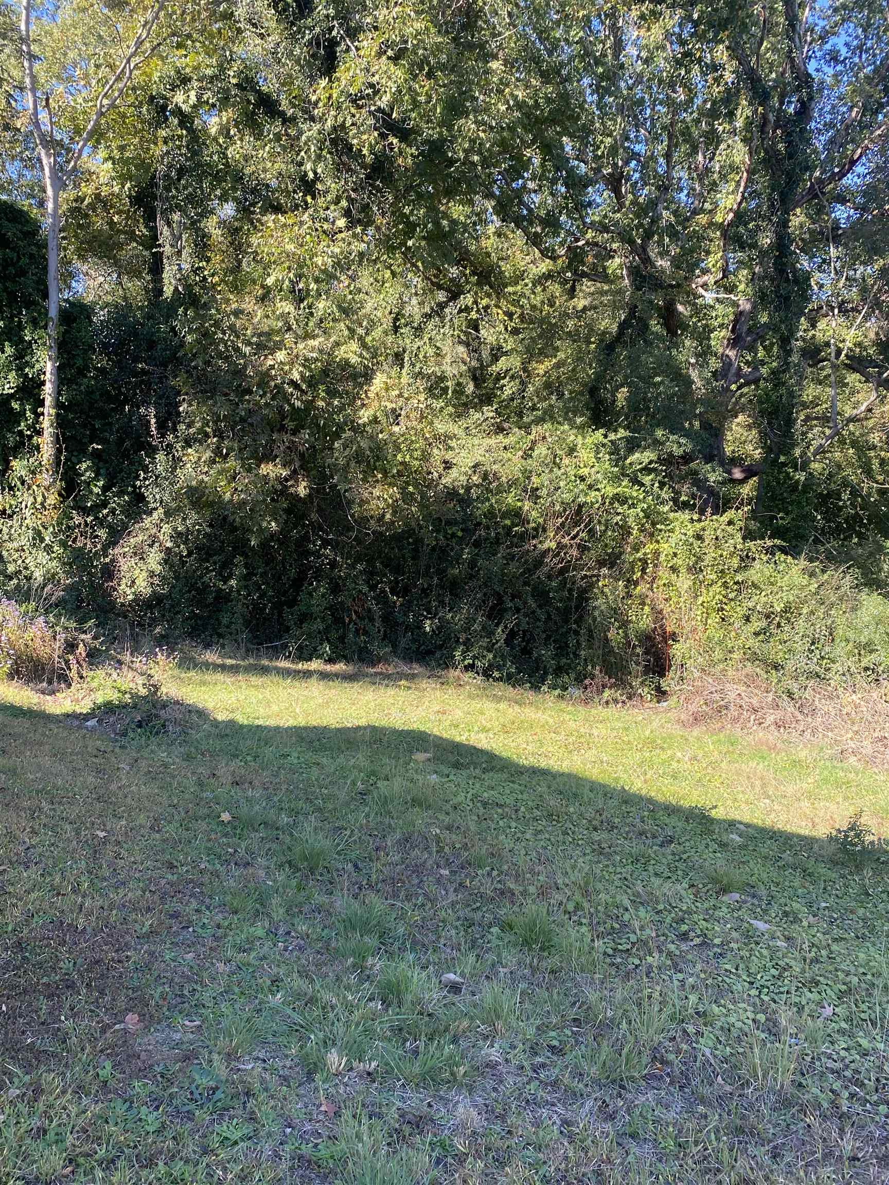 310 Gage Avenue Union, SC 29379 - Photo 5 of 7