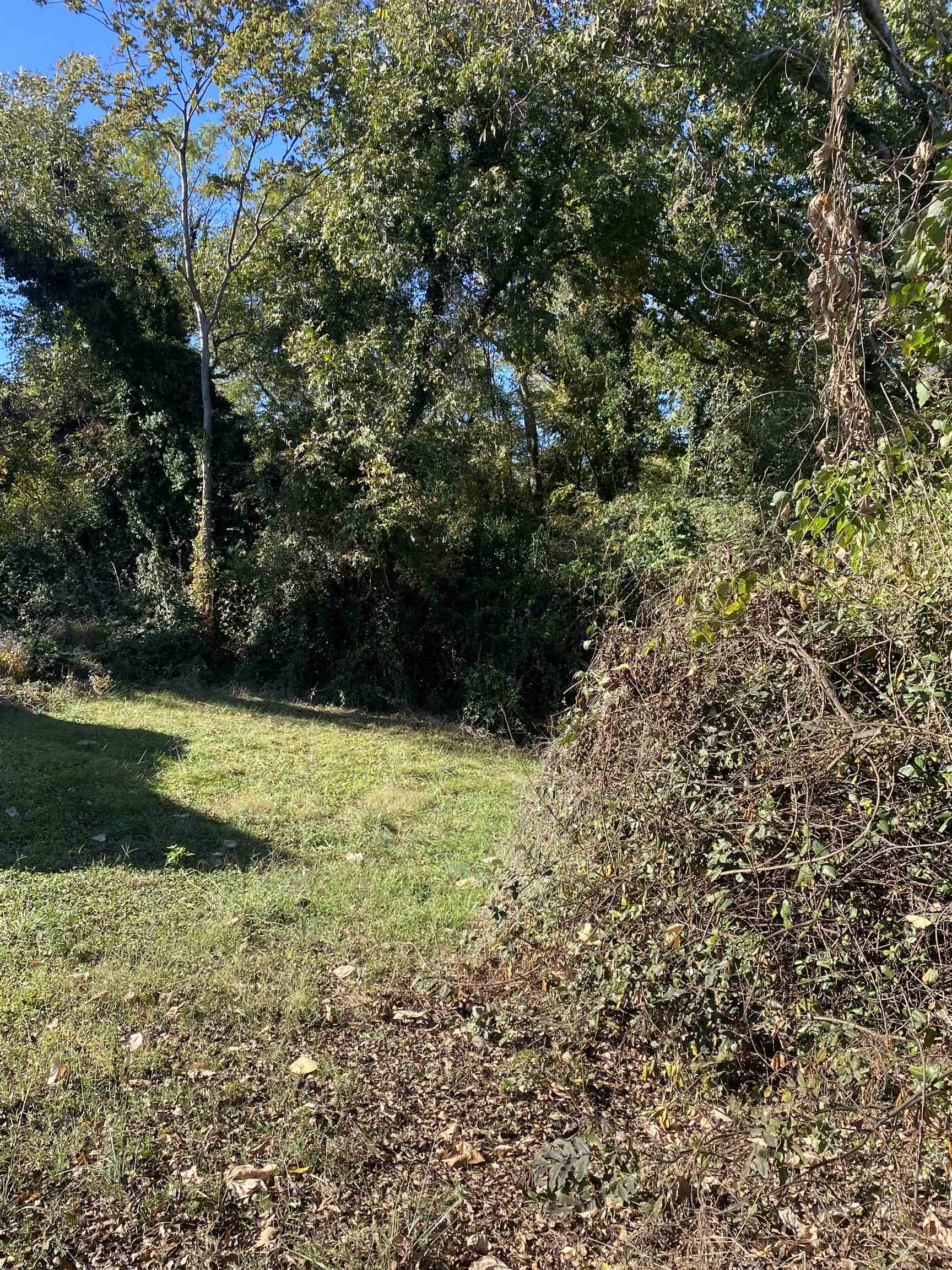 310 Gage Avenue Union, SC 29379 - Photo 6 of 7