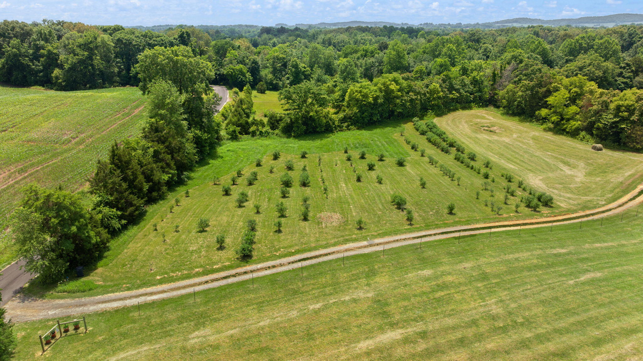 1717 Halltown Road Canmer, KY 42722 - Photo 43 of 83 58-web-or-mls-DJI_20260606141351_0468_D
