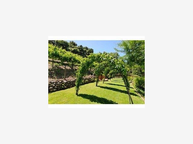 180 Robin Road Hillsborough, CA 94010 - Photo 8 of 8