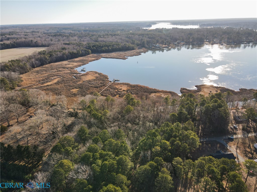 .307-ac 307-ac Point Hartfield, VA 23071 - Photo 6 of 16