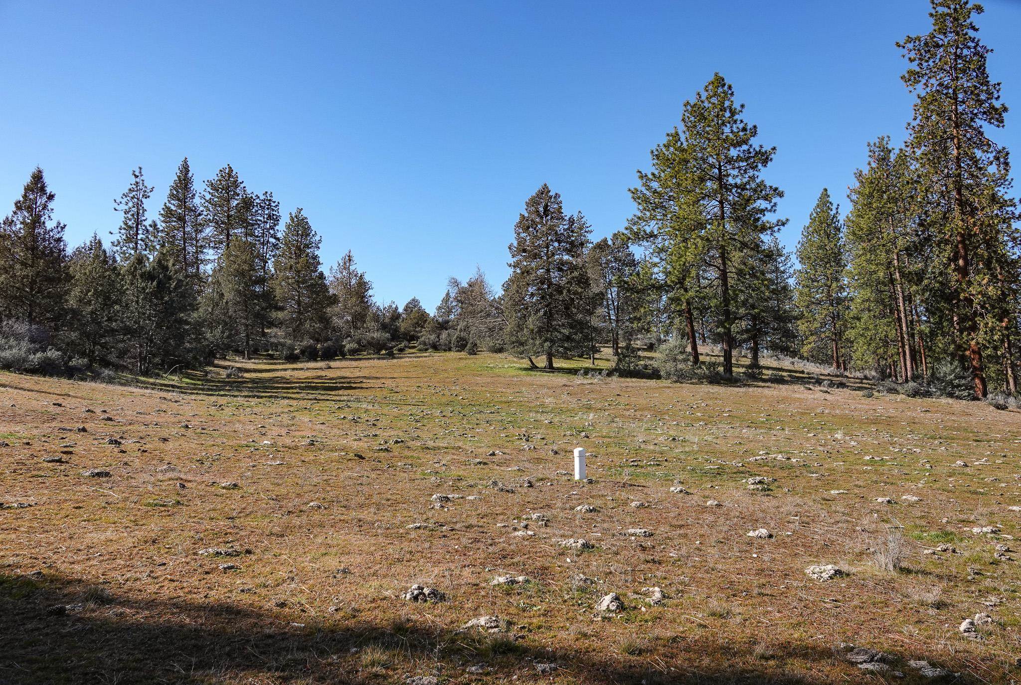 0 Scarface Road Fort Jones, CA 96032 - Photo 35 of 35 Gallery Image 35