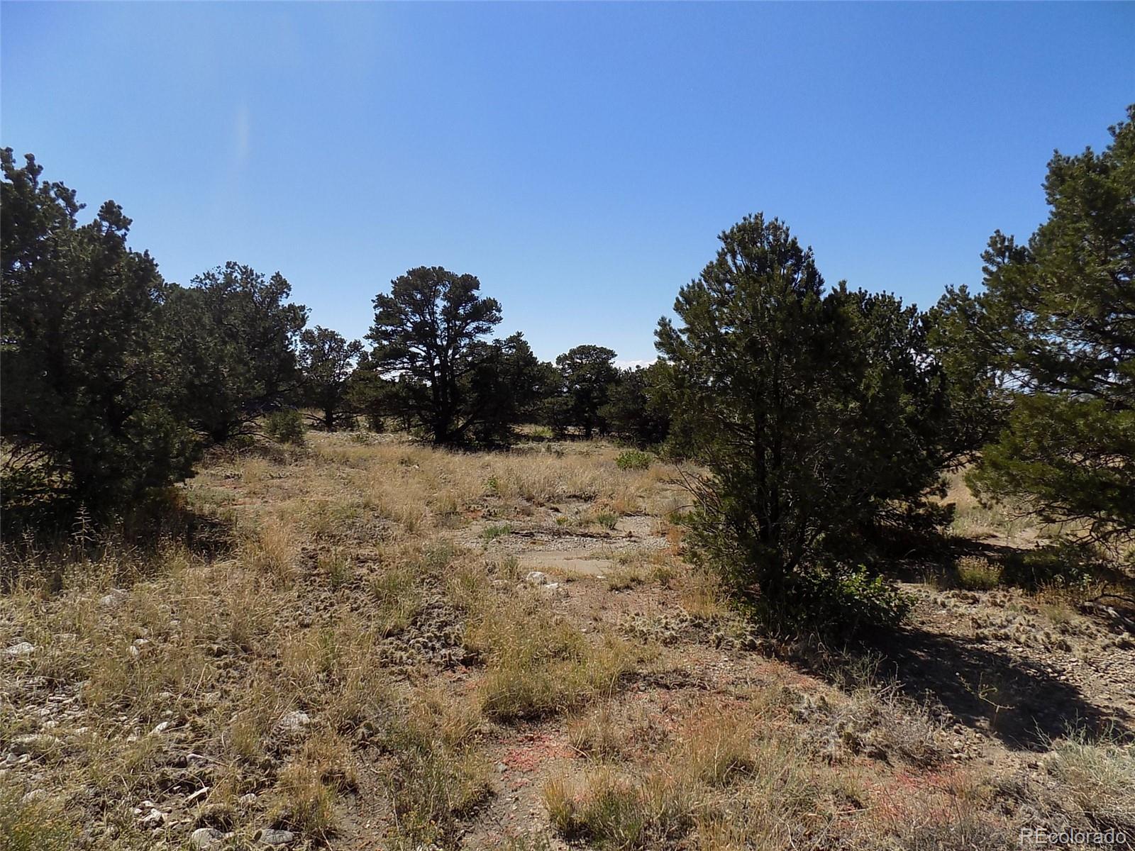 Little Bear Road Mosca, CO 81146 - Photo 11 of 22 a view of a yard with a tree