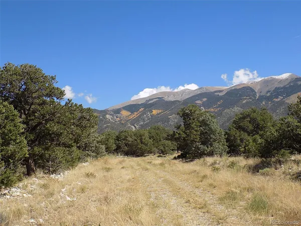 a view of a dry yard with mountain
