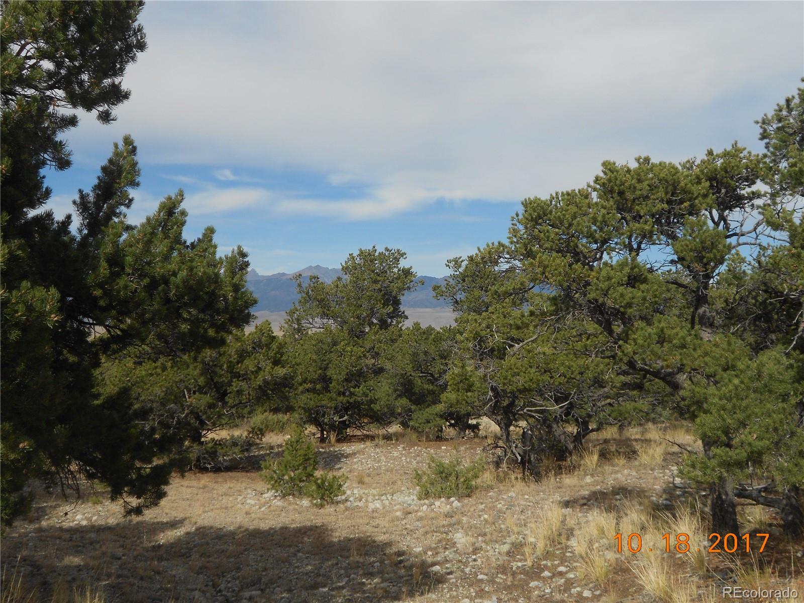 Little Bear Road Mosca, CO 81146 - Photo 19 of 22 a view of a yard with a tree