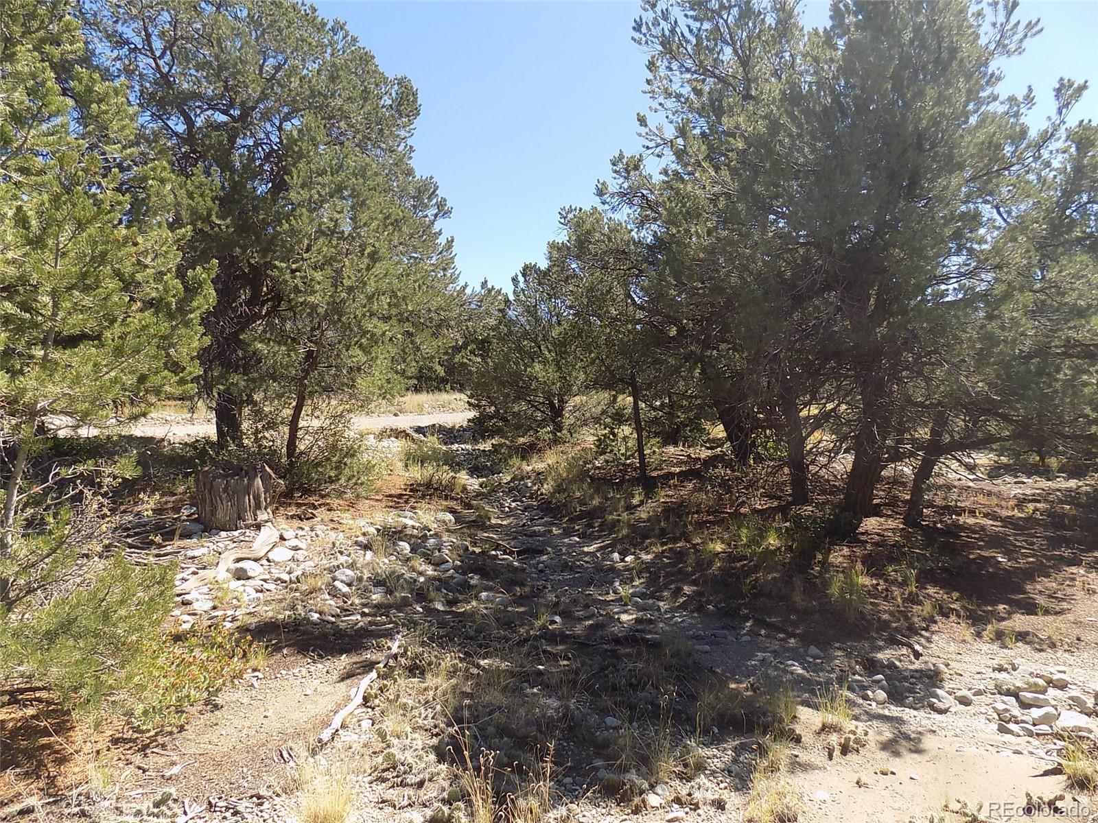 Little Bear Road Mosca, CO 81146 - Photo 2 of 22 a view of a tree
