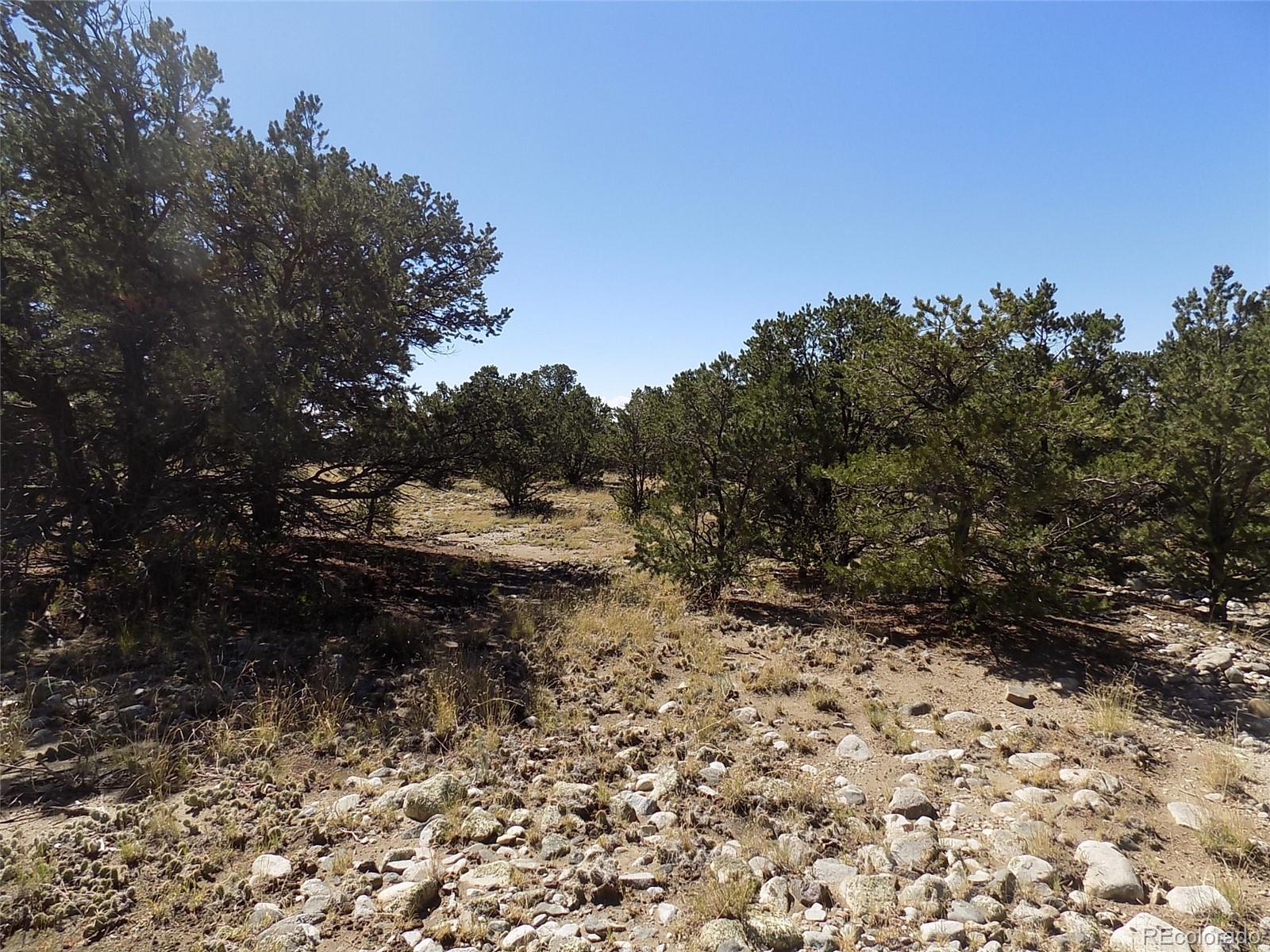 Little Bear Road Mosca, CO 81146 - Photo 5 of 22 a view of a yard with a tree