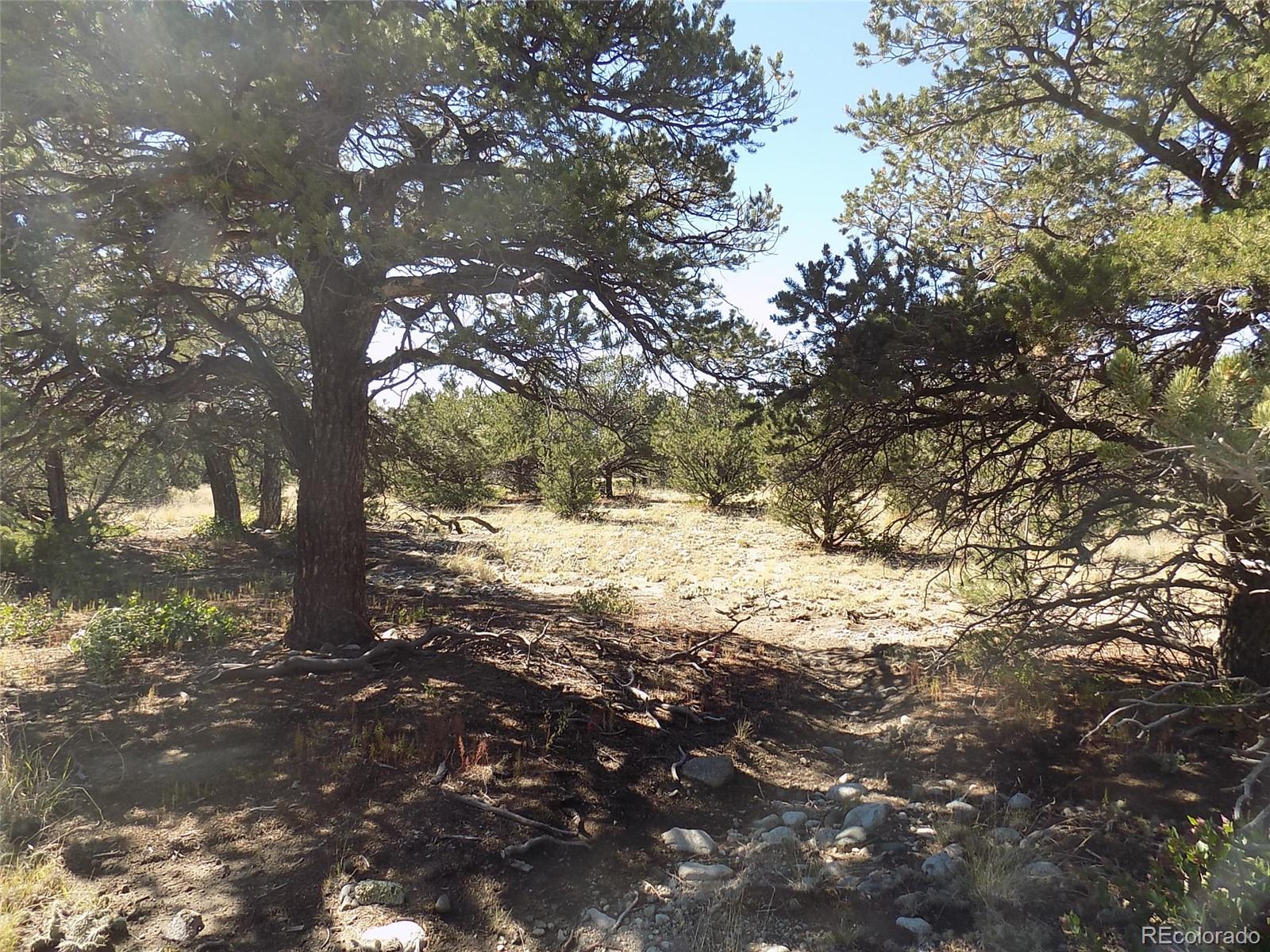 Little Bear Road Mosca, CO 81146 - Photo 6 of 22