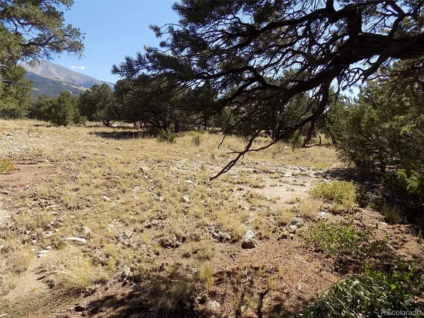 a view of a backyard of the house