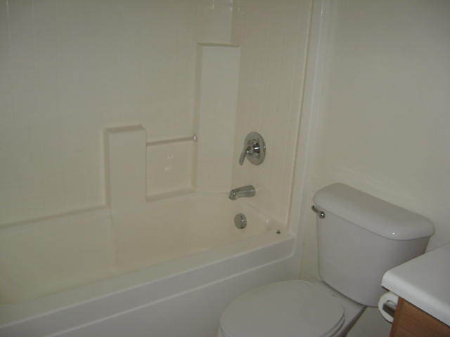 8614 West Riley Road Tolleson, AZ 85353 - Photo 18 of 30 MBath view 1