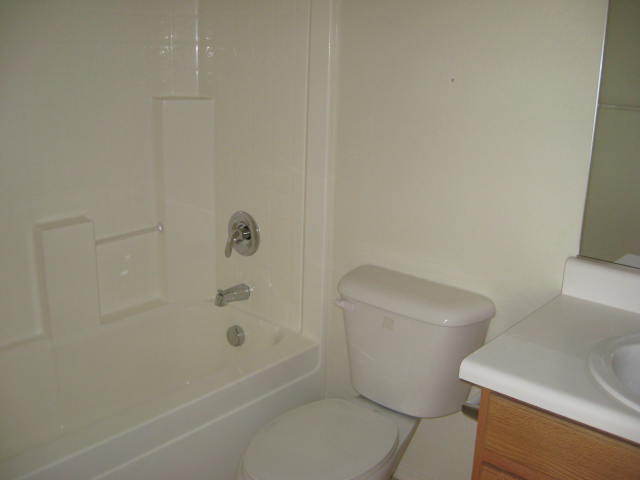 8614 West Riley Road Tolleson, AZ 85353 - Photo 25 of 30 Hall bath view 1