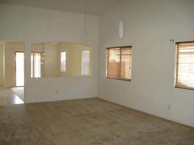 8614 West Riley Road Tolleson, AZ 85353 - Photo 7 of 30 LR DR view 1